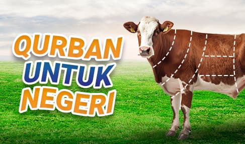 Sapi Kolektif untuk Pedalaman